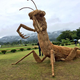 Illustration for article titled Straw Dinosaurs Appear in Japanese Fields, Try To Eat Humans